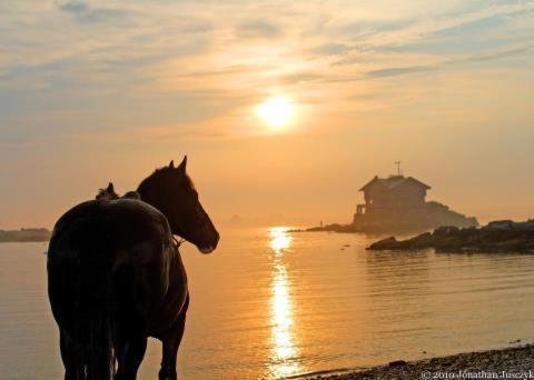 Atlantic Haven Bed & Breakfast Sligo Buitenkant foto